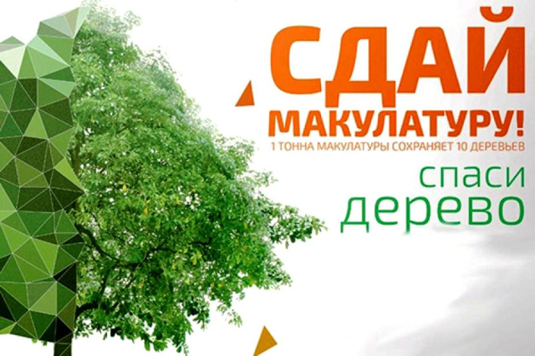 Сдай макулатуру - спаси дерево!.